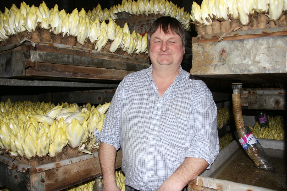 Le producteur devant des étagères remplies de chicons
